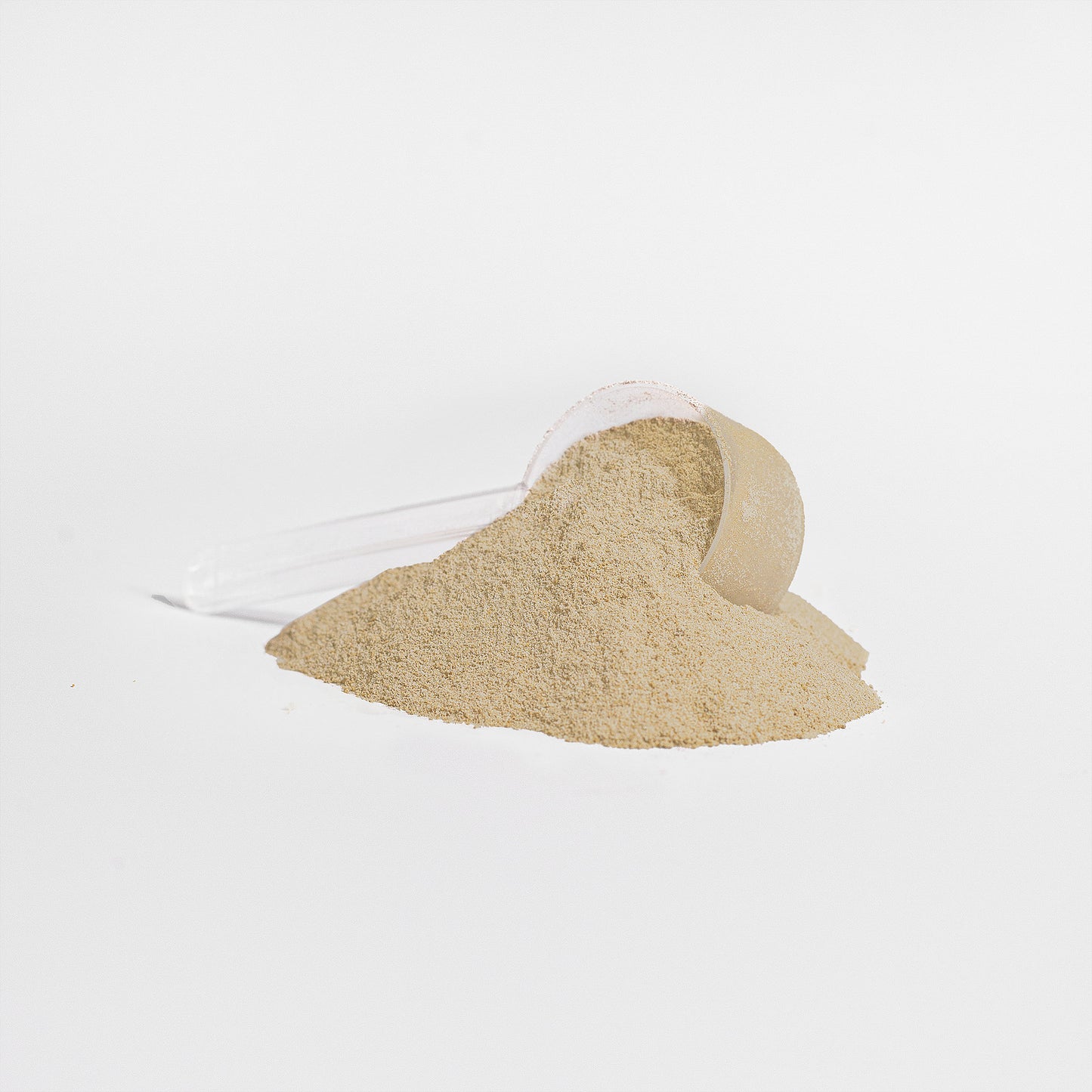 WHY NOT: WHEY UP 100% Whey Protein Isolate (Vanilla)